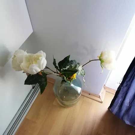 Apartmán Charming In + Terrace Zaton (Zadar)