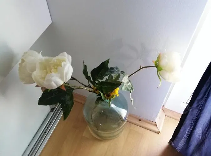 Appartement Charming In + Terrace Zaton (Zadar)